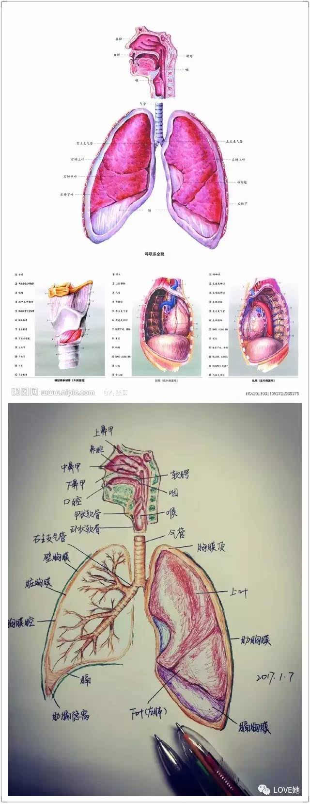 bet356体育在线亚洲最新最